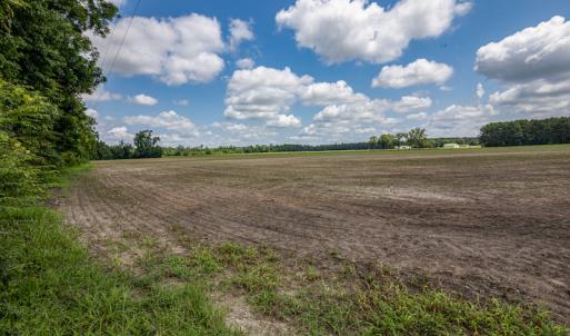 Photo #2 of SOLD property in Off Tedder Road, Fairmont, NC 27.9 acres