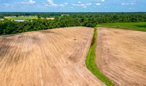 Photo #28 of SOLD property in Off Tedder Road, Fairmont, NC 27.9 acres
