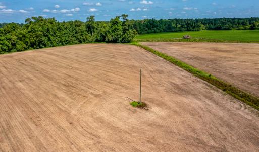 Photo #29 of SOLD property in Off Tedder Road, Fairmont, NC 27.9 acres