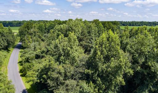 Photo #34 of SOLD property in Off Tedder Road, Fairmont, NC 27.9 acres