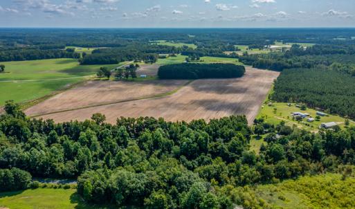 Photo #35 of SOLD property in Off Tedder Road, Fairmont, NC 27.9 acres