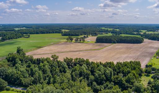 Photo #36 of SOLD property in Off Tedder Road, Fairmont, NC 27.9 acres