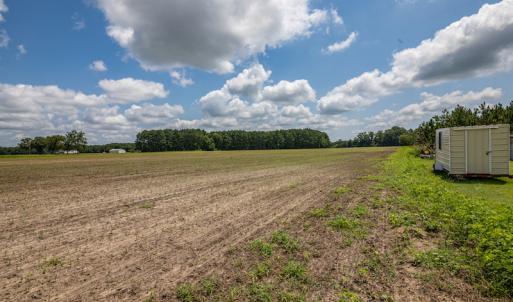 Photo #4 of SOLD property in Off Tedder Road, Fairmont, NC 27.9 acres