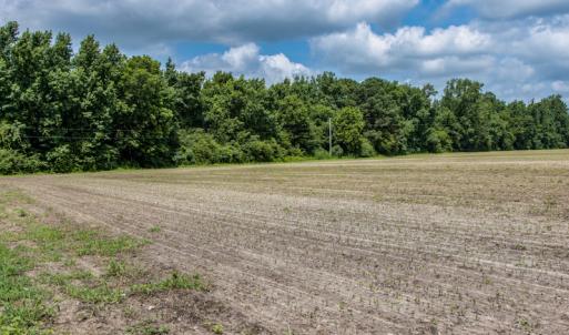 Photo #5 of SOLD property in Off Tedder Road, Fairmont, NC 27.9 acres