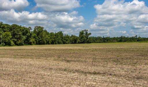 Photo #6 of SOLD property in Off Tedder Road, Fairmont, NC 27.9 acres