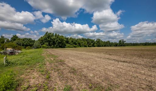 Photo #7 of SOLD property in Off Tedder Road, Fairmont, NC 27.9 acres