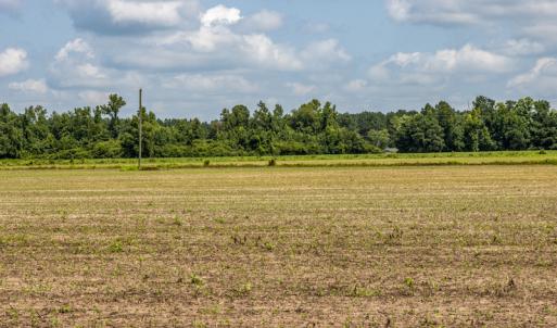 Photo #8 of SOLD property in Off Tedder Road, Fairmont, NC 27.9 acres