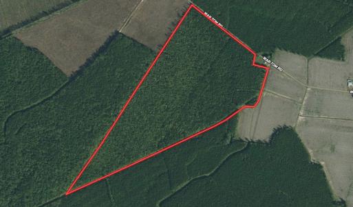 Photo #1 of SOLD property in Off War Tom Road, Aulander, NC 89.0 acres