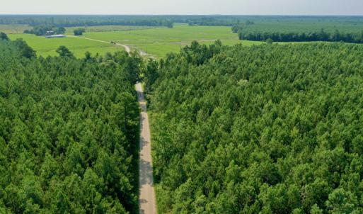 Photo #3 of SOLD property in Off War Tom Road, Aulander, NC 89.0 acres