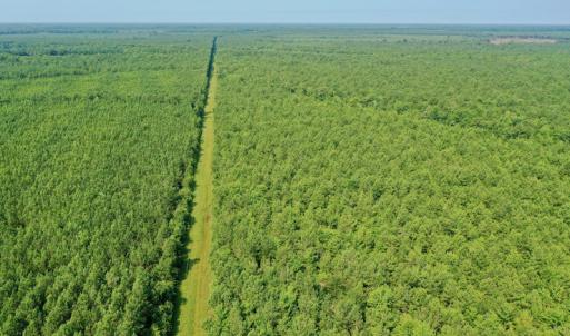 Photo #15 of SOLD property in Off War Tom Road, Aulander, NC 89.0 acres