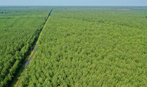 Photo #17 of SOLD property in Off War Tom Road, Aulander, NC 89.0 acres