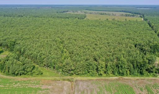 Photo #23 of SOLD property in Off War Tom Road, Aulander, NC 89.0 acres