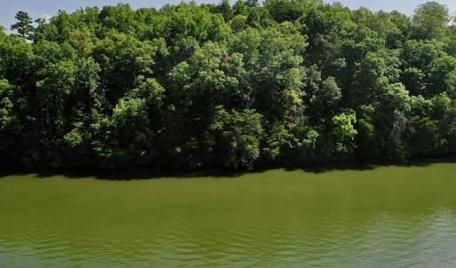 Photo #8 of Off Reservior View Drive, Pittsville, VA 5.0 acres