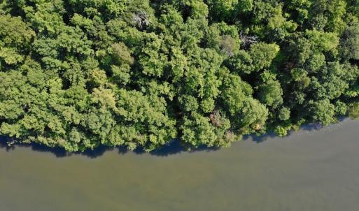 Photo #11 of Off Reservior View Drive, Pittsville, VA 5.0 acres