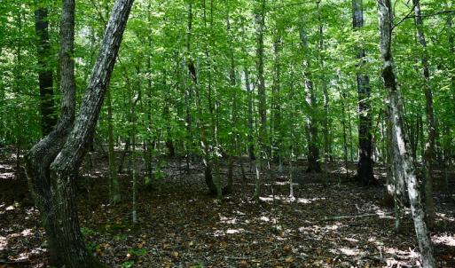 Photo #18 of Off Reservior View Drive, Pittsville, VA 5.0 acres