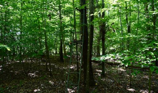 Photo #19 of Off Reservior View Drive, Pittsville, VA 5.0 acres