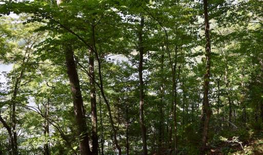 Photo #23 of Off Reservior View Drive, Pittsville, VA 5.0 acres