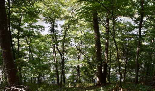 Photo #24 of Off Reservior View Drive, Pittsville, VA 5.0 acres