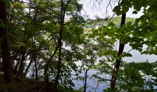 Photo #28 of Off Reservior View Drive, Pittsville, VA 5.0 acres