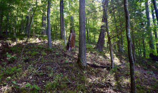 Photo #29 of Off Reservior View Drive, Pittsville, VA 5.0 acres