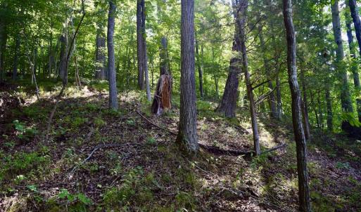 Photo #29 of Off Reservior View Drive, Pittsville, VA 5.0 acres
