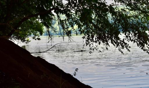 Photo #30 of Off Reservior View Drive, Pittsville, VA 5.0 acres