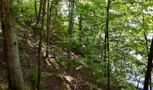 Photo #31 of Off Reservior View Drive, Pittsville, VA 5.0 acres