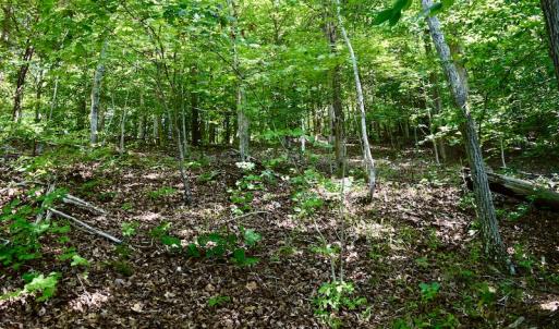 Photo #32 of Off Reservior View Drive, Pittsville, VA 5.0 acres