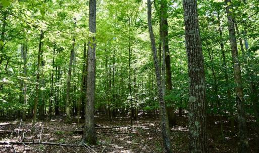 Photo #33 of Off Reservior View Drive, Pittsville, VA 5.0 acres