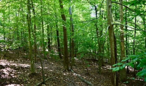 Photo #34 of Off Reservior View Drive, Pittsville, VA 5.0 acres