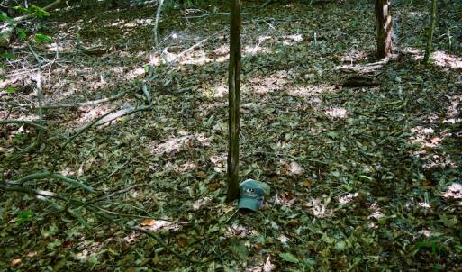 Photo #35 of Off Reservior View Drive, Pittsville, VA 5.0 acres