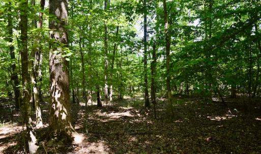 Photo #36 of Off Reservior View Drive, Pittsville, VA 5.0 acres