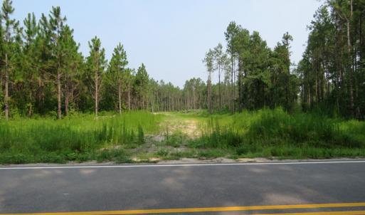 Photo #2 of SOLD property in Off Old Northeast Road, Hallsboro, NC 99.0 acres