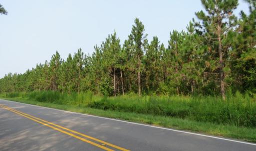 Photo #4 of SOLD property in Off Old Northeast Road, Hallsboro, NC 99.0 acres