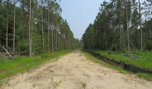 Photo #5 of SOLD property in Off Old Northeast Road, Hallsboro, NC 99.0 acres