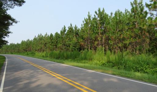 Photo #8 of SOLD property in Off Old Northeast Road, Hallsboro, NC 99.0 acres