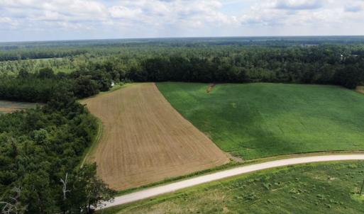 Photo #5 of SOLD property in Off Doodle Hill Road, Cerro Gordo, NC 149.0 acres