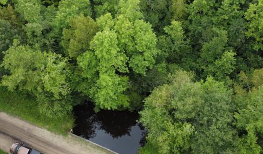 Photo #6 of SOLD property in Off Hagan Road, Loris, SC 24.0 acres