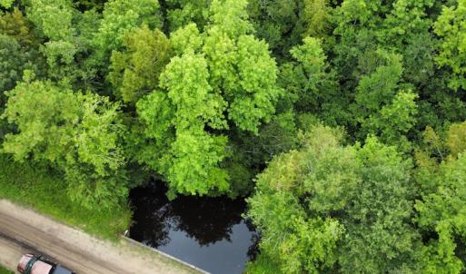 Photo #7 of SOLD property in Off Hagan Road, Loris, SC 24.0 acres