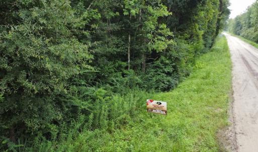 Photo #12 of SOLD property in Off Hagan Road, Loris, SC 24.0 acres