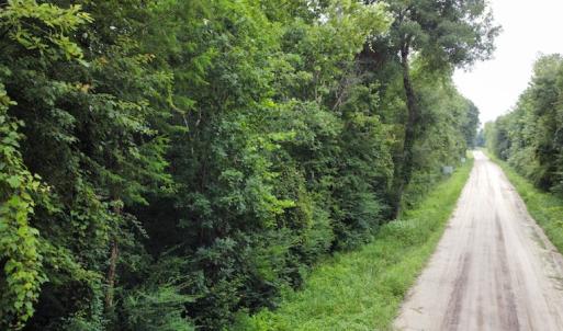 Photo #13 of SOLD property in Off Hagan Road, Loris, SC 24.0 acres