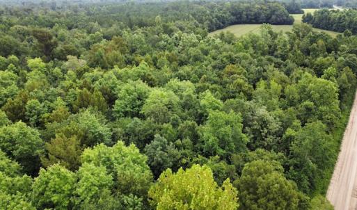 Photo #14 of SOLD property in Off Hagan Road, Loris, SC 24.0 acres