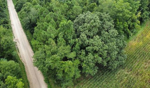 Photo #17 of SOLD property in Off Hagan Road, Loris, SC 24.0 acres