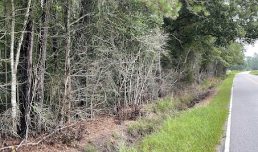 Photo #3 of Off Highway 430, Nichols, SC 32.3 acres