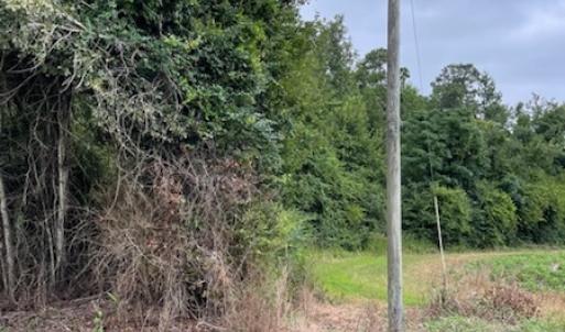Photo #5 of Off Highway 430, Nichols, SC 32.3 acres