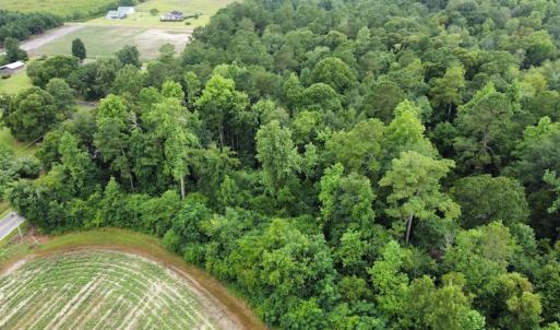 Photo #11 of Off Highway 430, Nichols, SC 32.3 acres