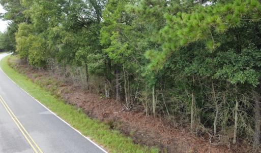 Photo #13 of Off Highway 430, Nichols, SC 32.3 acres