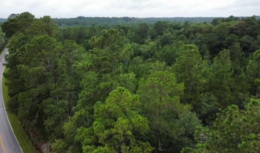 Photo #15 of Off Highway 430, Nichols, SC 32.3 acres
