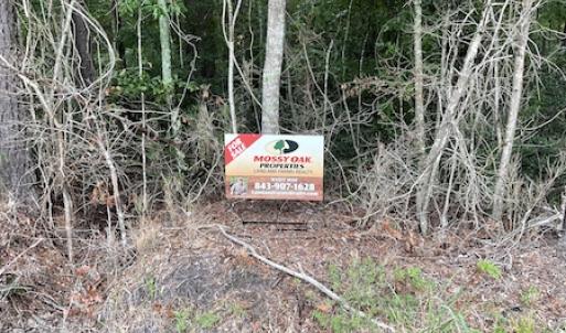 Photo #16 of Off Highway 430, Nichols, SC 32.3 acres