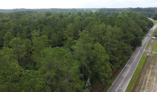 Photo #6 of Off Highway 430, Nichols, SC 32.3 acres